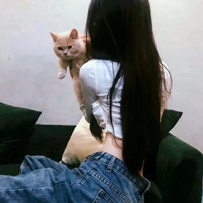非来不可第三季